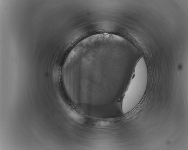 X0000094060168200711161533