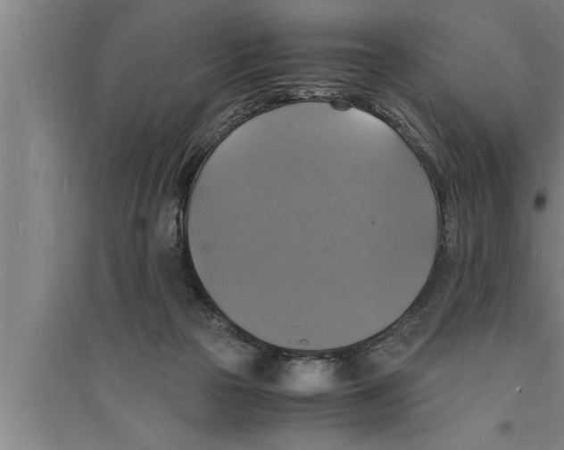 X0000094060169200711161533