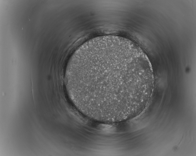 X0000094060170200711161533