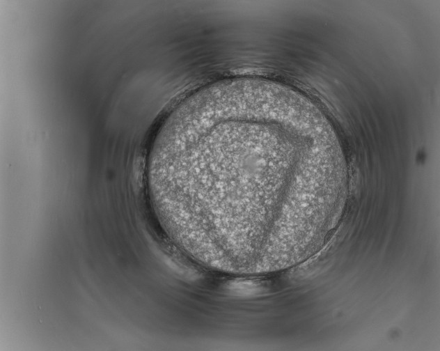 X0000094060171200711161533