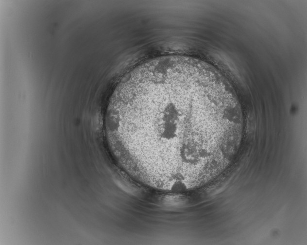 X0000094060173200711161533