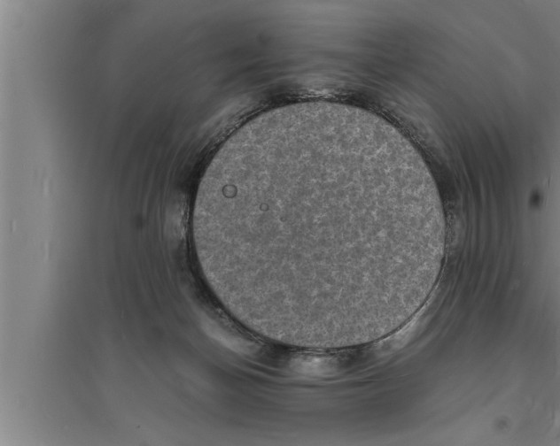 X0000094060174200711161533