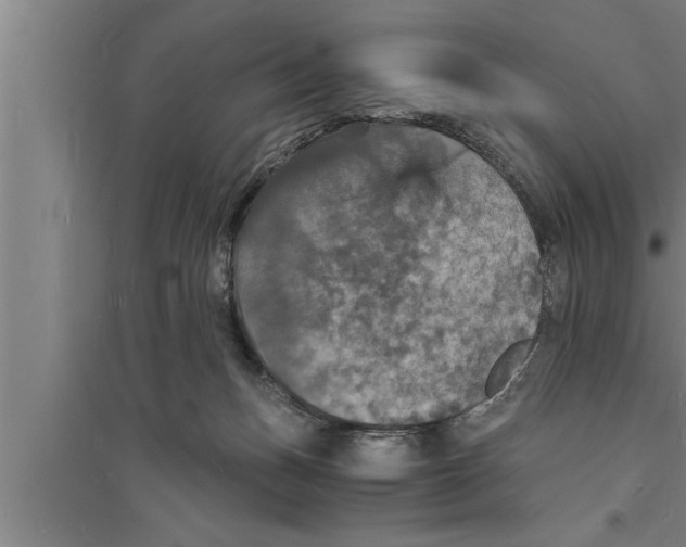 X0000094060175200711161533