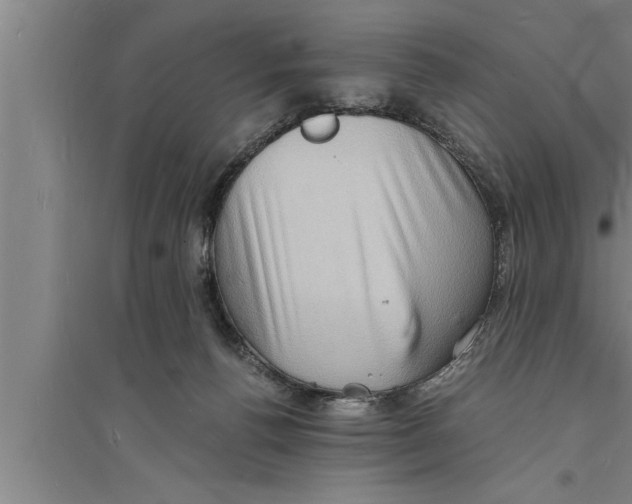 X0000094060176200711161533