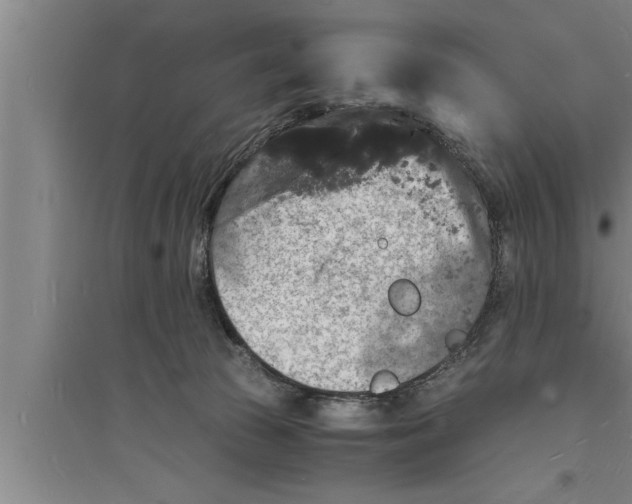 X0000094060177200711161533