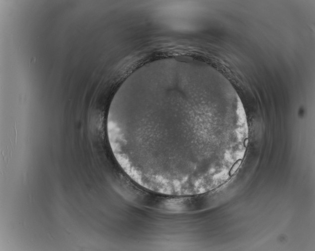 X0000094060178200711161533