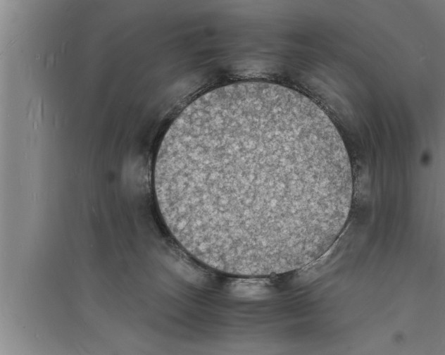 X0000094060179200711161533