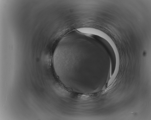 X0000094060180200711161533