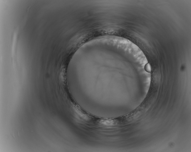 X0000094060181200711161533