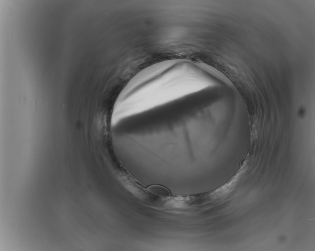 X0000094060182200711161533