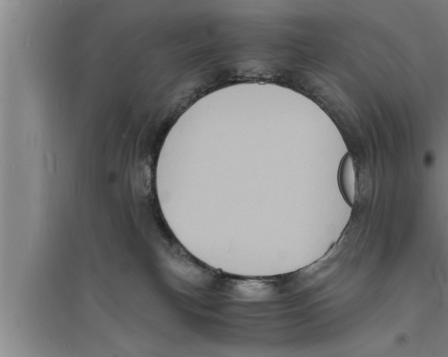 X0000094060183200711161533