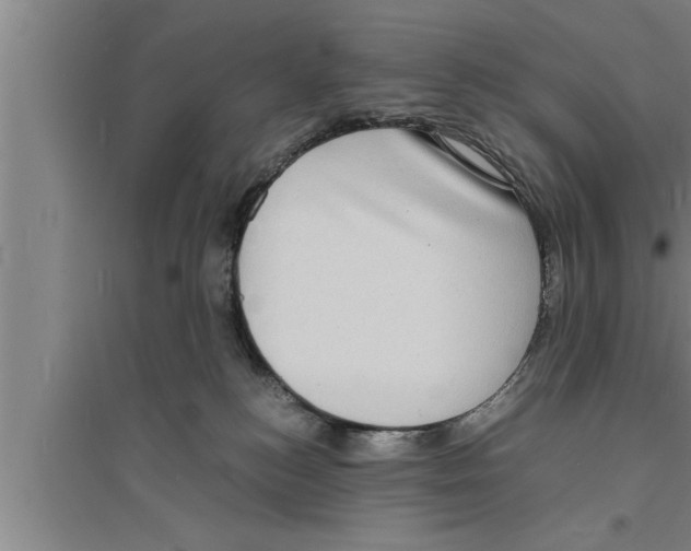 X0000094060184200711161533