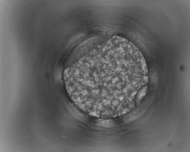 X0000094060185200711161533