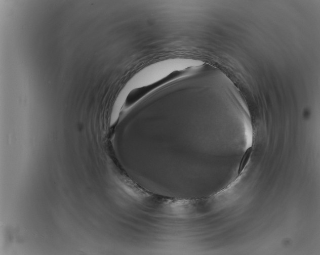 X0000094060186200711161533