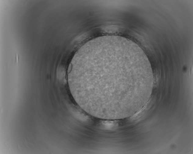 X0000094060187200711161533