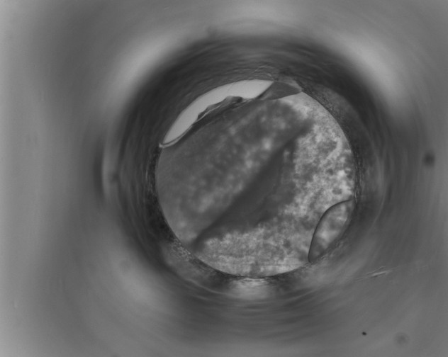 X0000094060189200711161533