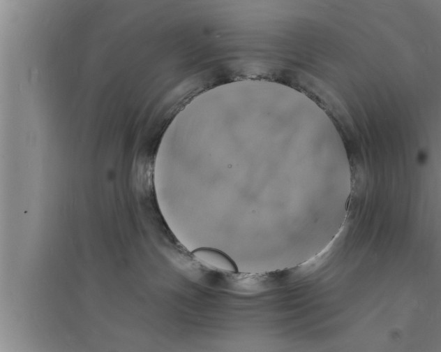 X0000094060191200711161533