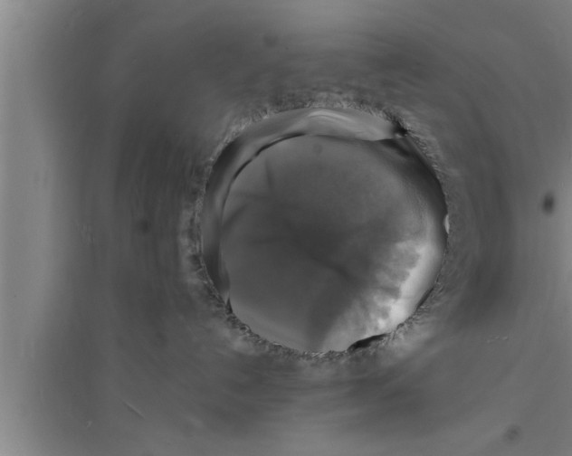 X0000094060192200711161533