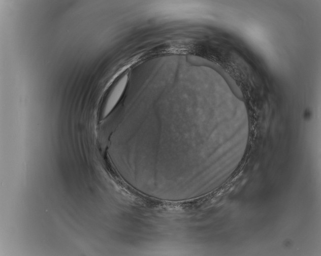 X0000094060194200711161532