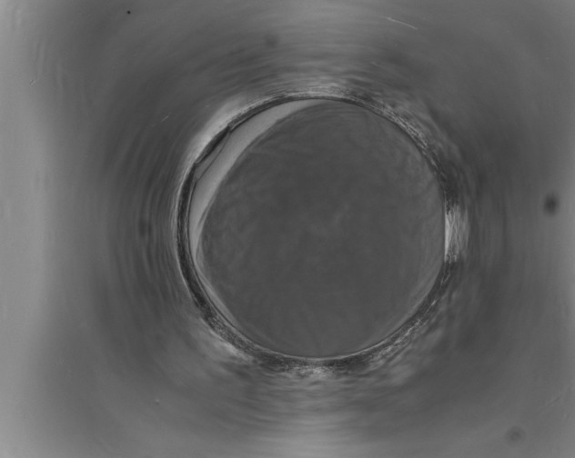 X0000094060195200711161532