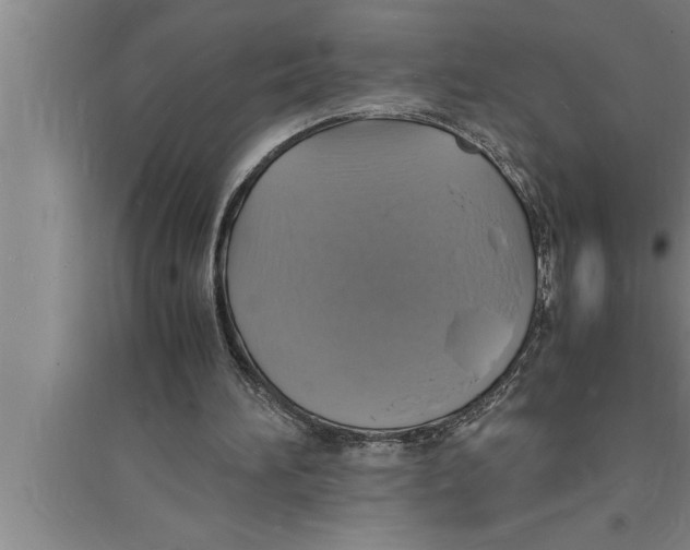 X0000094060196200711161532