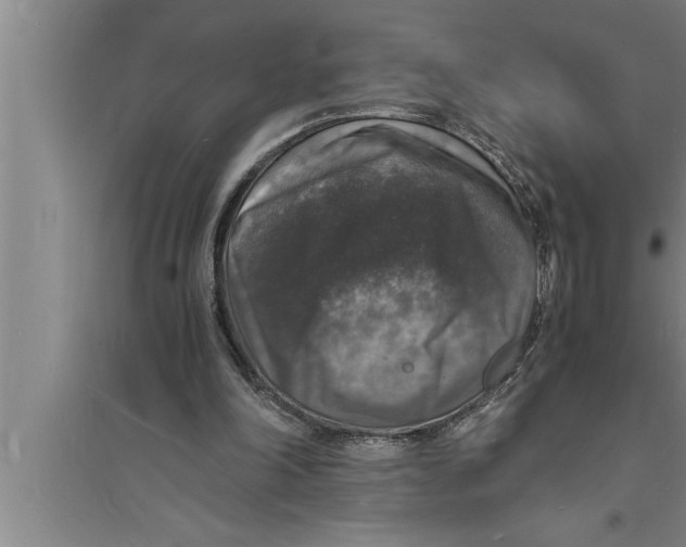 X0000094060198200711161532