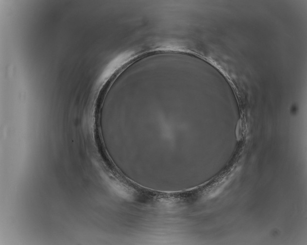 X0000094060199200711161532