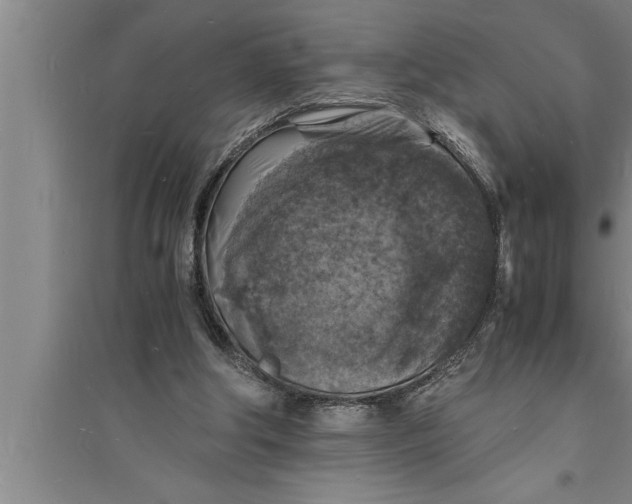 X0000094060202200711161532