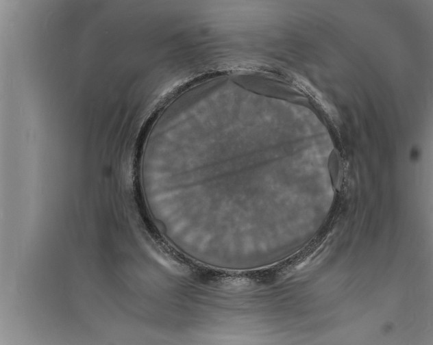 X0000094060203200711161532