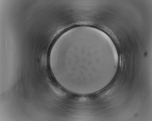 X0000094060204200711161532