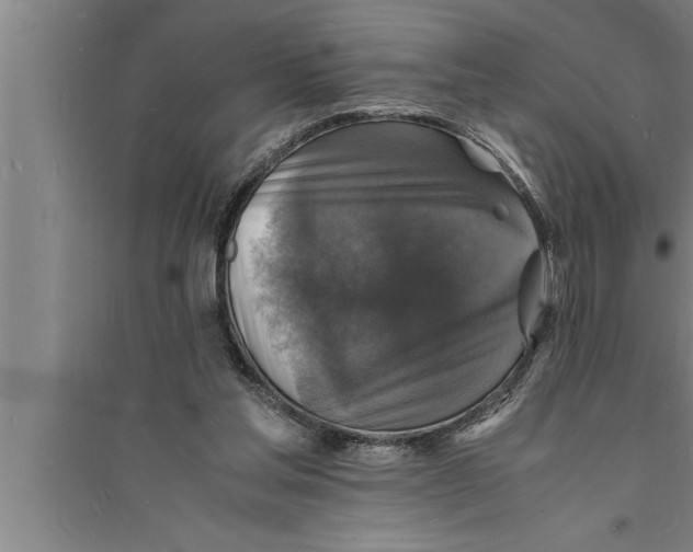 X0000094060205200711161532