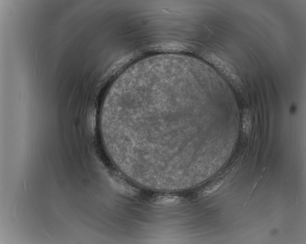 X0000094060206200711161532