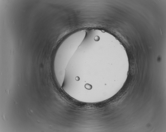 X0000094060207200711161532