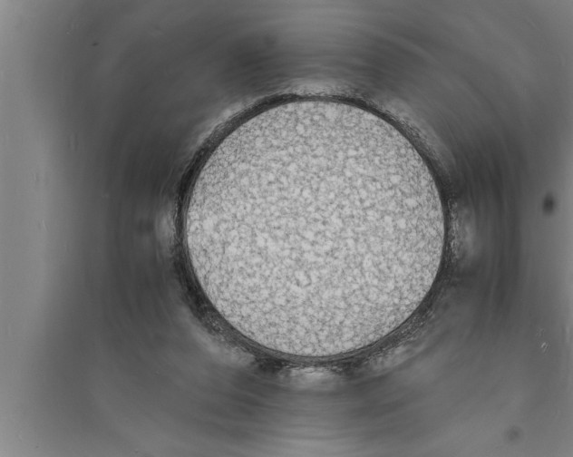 X0000094060208200711161532