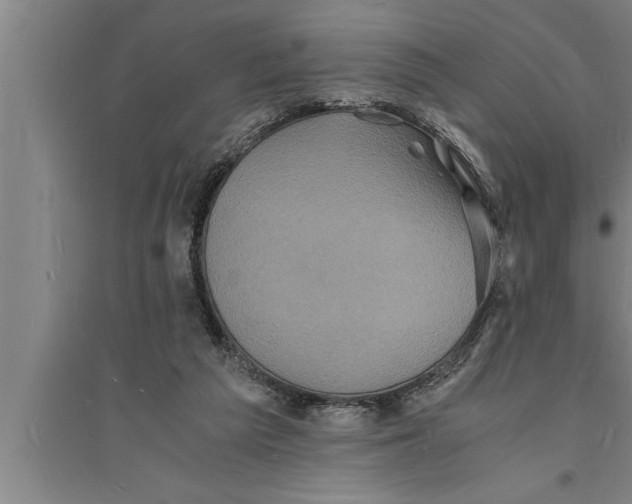 X0000094060209200711161532