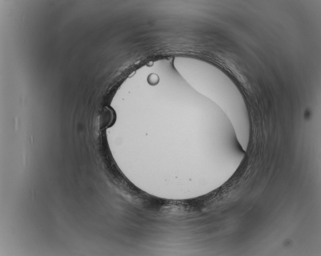 X0000094060211200711161532