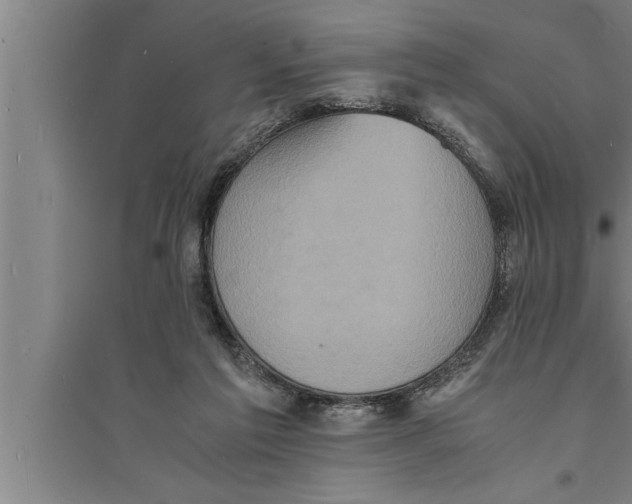 X0000094060213200711161532