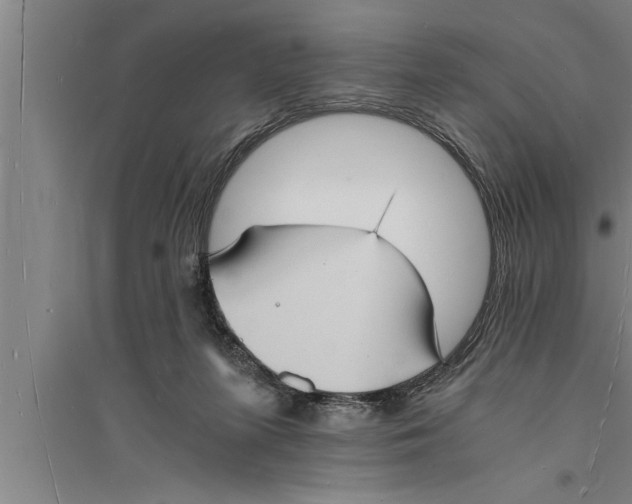 X0000094060215200711161532