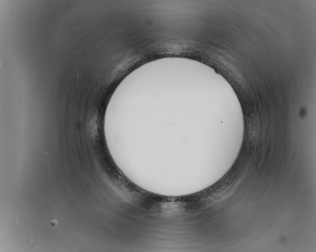 X0000094060216200711161532