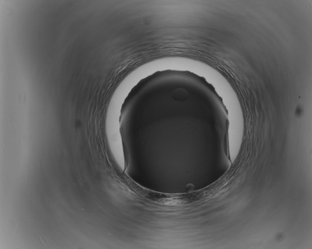 X0000094060219200711161532