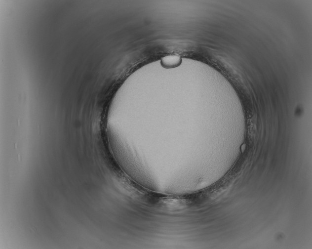 X0000094060221200711161532