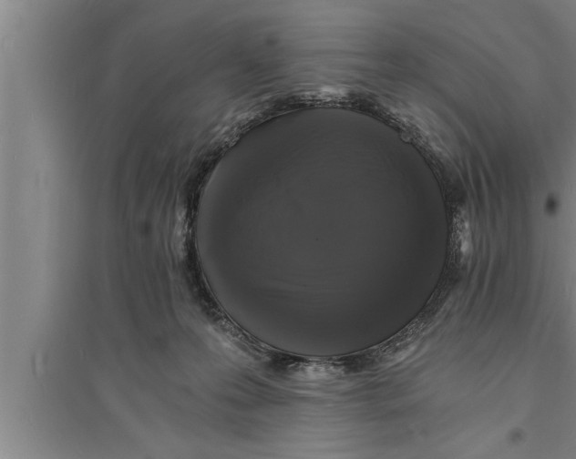 X0000094060223200711161532