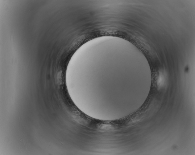 X0000094060224200711161532