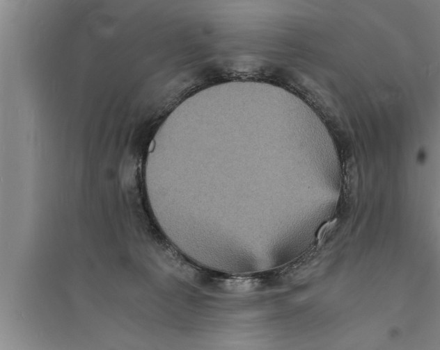 X0000094060225200711161532