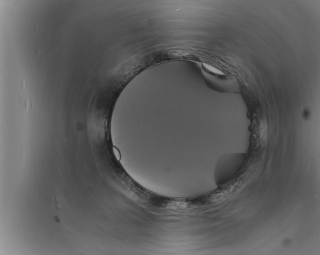 X0000094060227200711161532