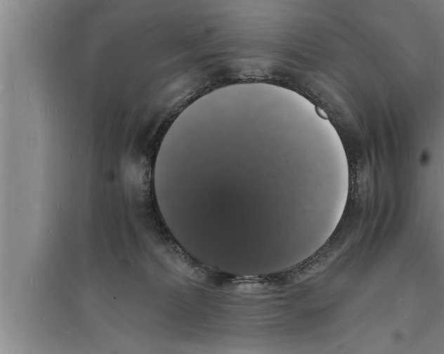 X0000094060228200711161532