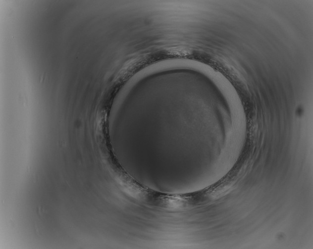 X0000094060229200711161532