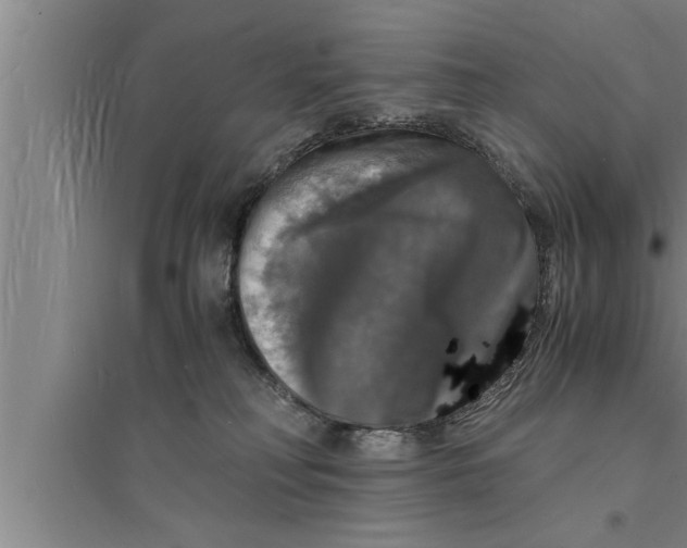 X0000094060230200711161532