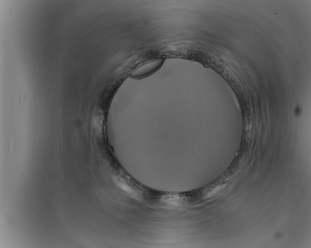 X0000094060231200711161532