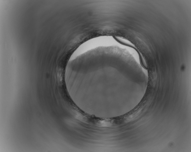 X0000094060232200711161532